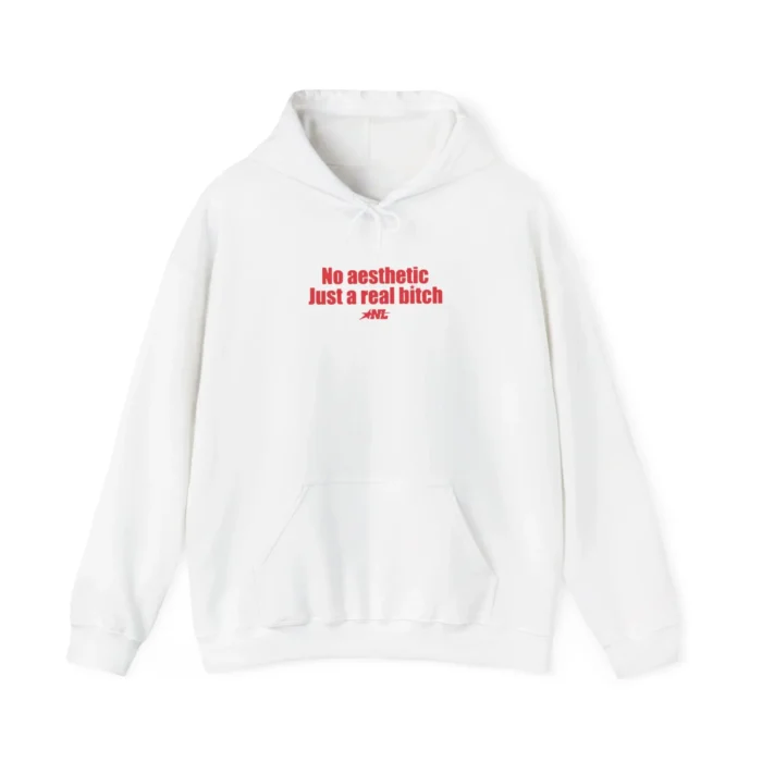 No aesthetic Just a real bitch Hoodie