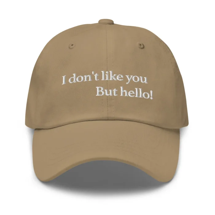 I Don't Like You But Hello Hat