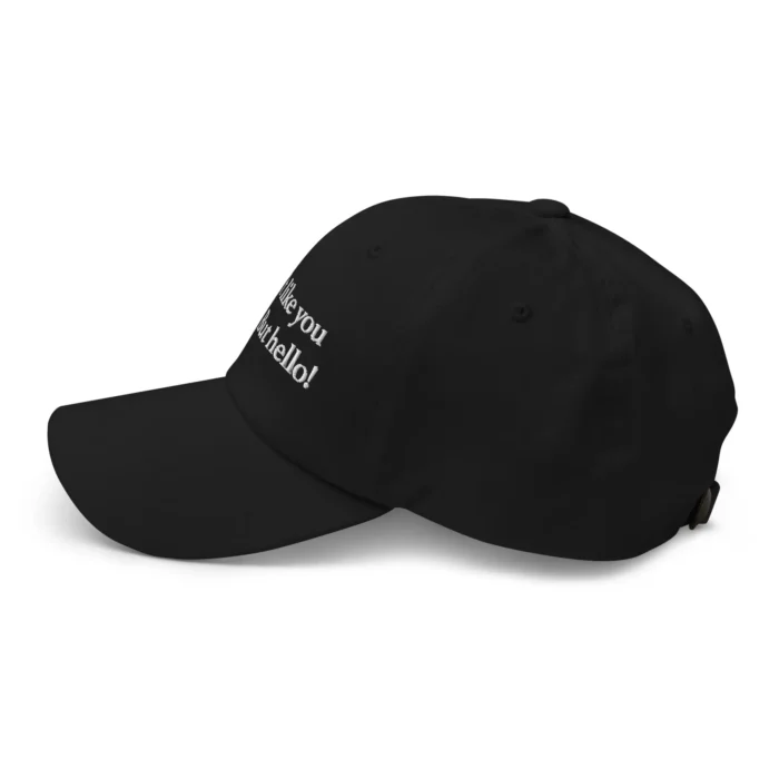 I Don't Like You But Hello Hat