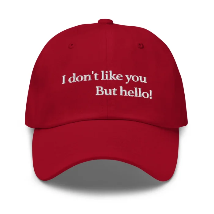 I Don't Like You But Hello Hat
