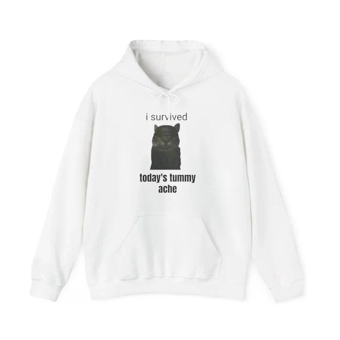 I Survived Today's Tummy Ache Hoodie