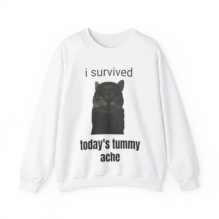 I Survived Today's Tummy Ache Sweatshirt